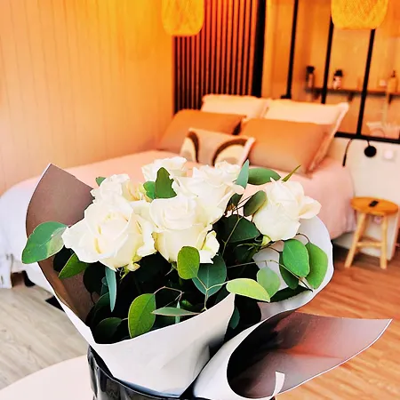 Paradis & ベッド・アンド・ブレックファスト *